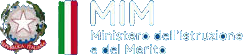 mim
